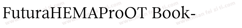 FuturaHEMAProOT Book字体转换